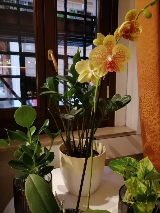 Hotel Julia Roma Eksteriør bilde